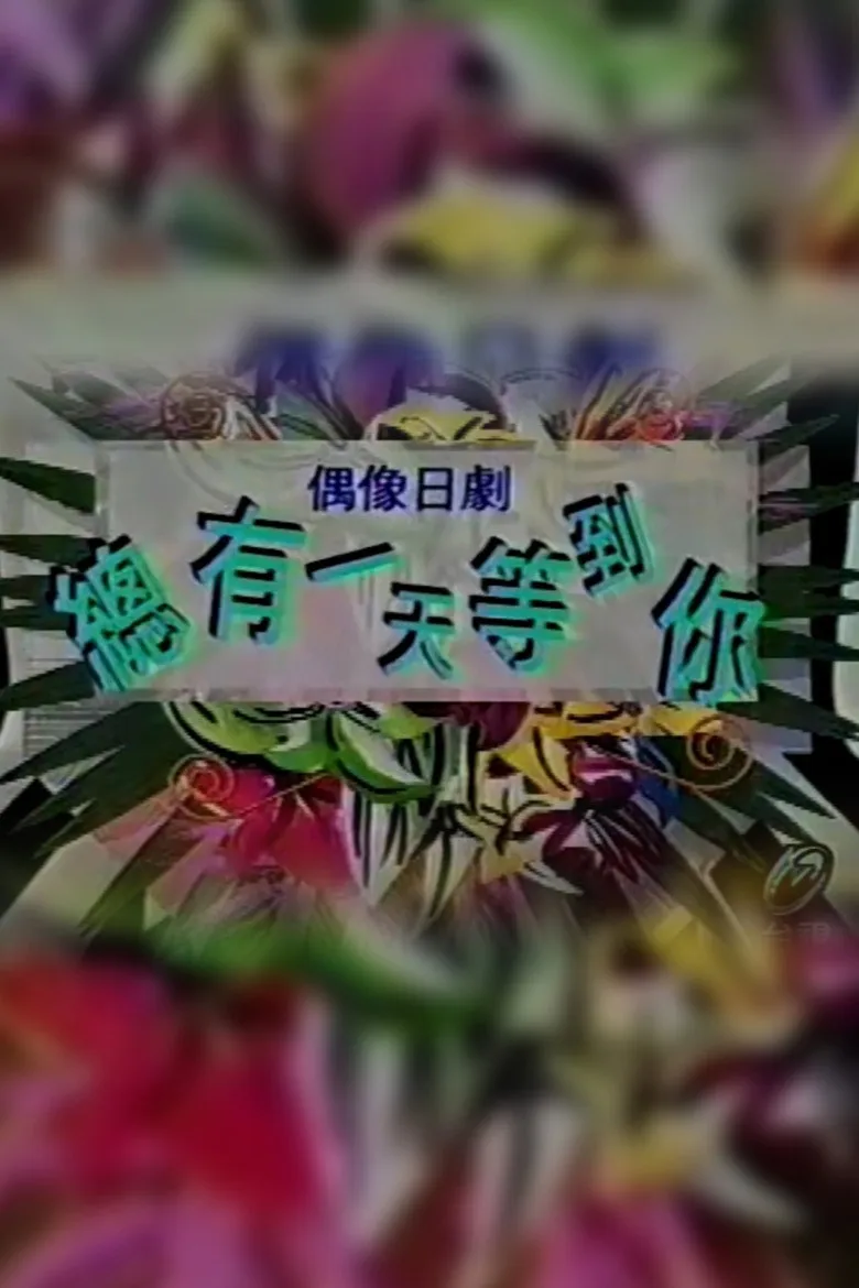 总有一天等到你